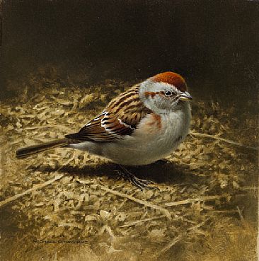 Earth Colours - American Tree Sparrow by Michael Dumas